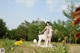 A naked woman sitting on a white llama in a field of flowers.